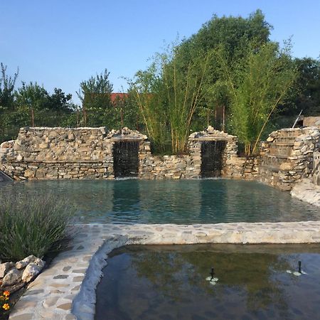 Country Spa Retreat Snagov Dış mekan fotoğraf The Roman bath