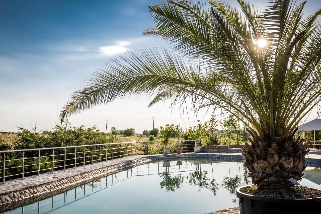 Country Spa Retreat Snagov Dış mekan fotoğraf The pool at the hotel