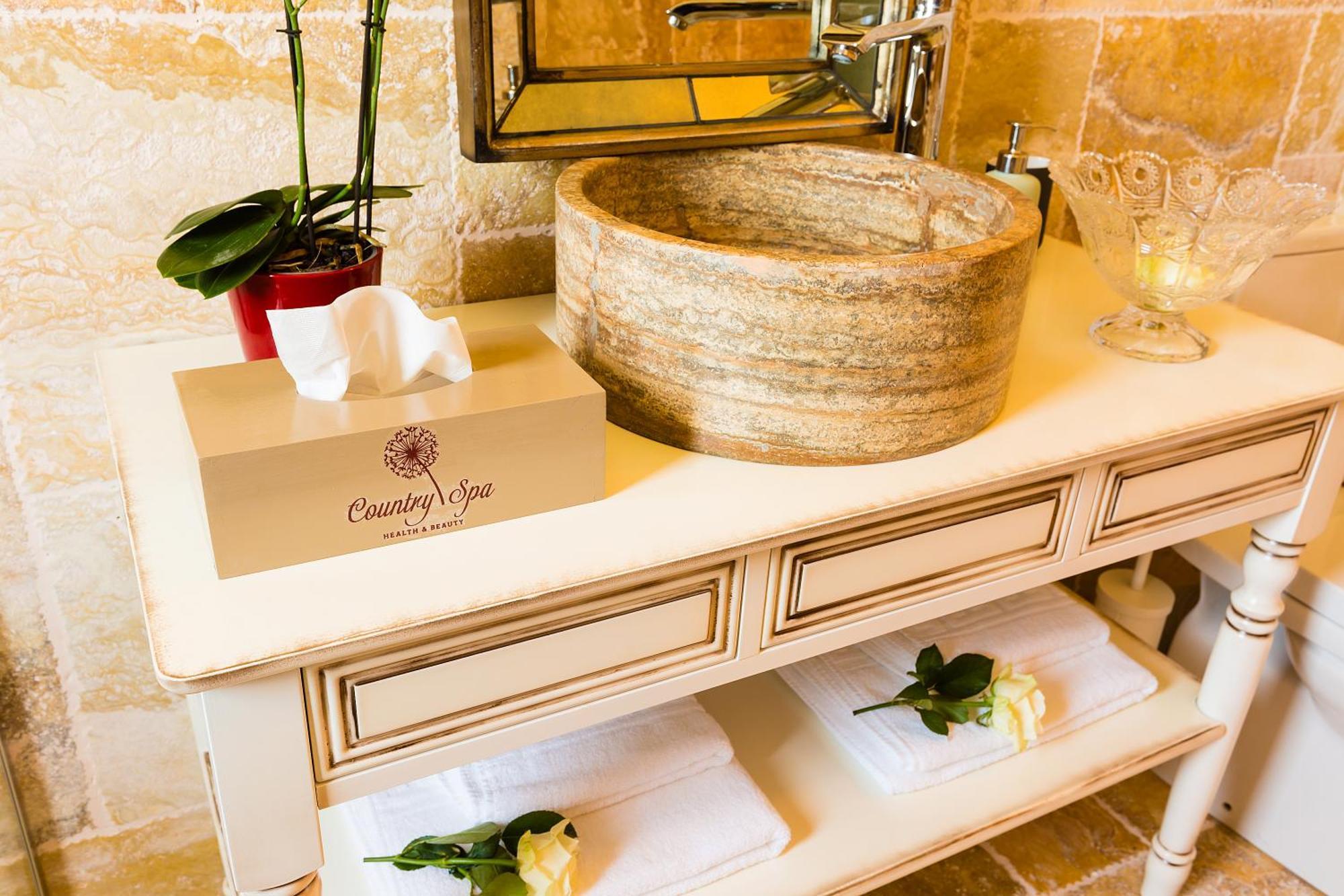 Country Spa Retreat Snagov Dış mekan fotoğraf A stone sink