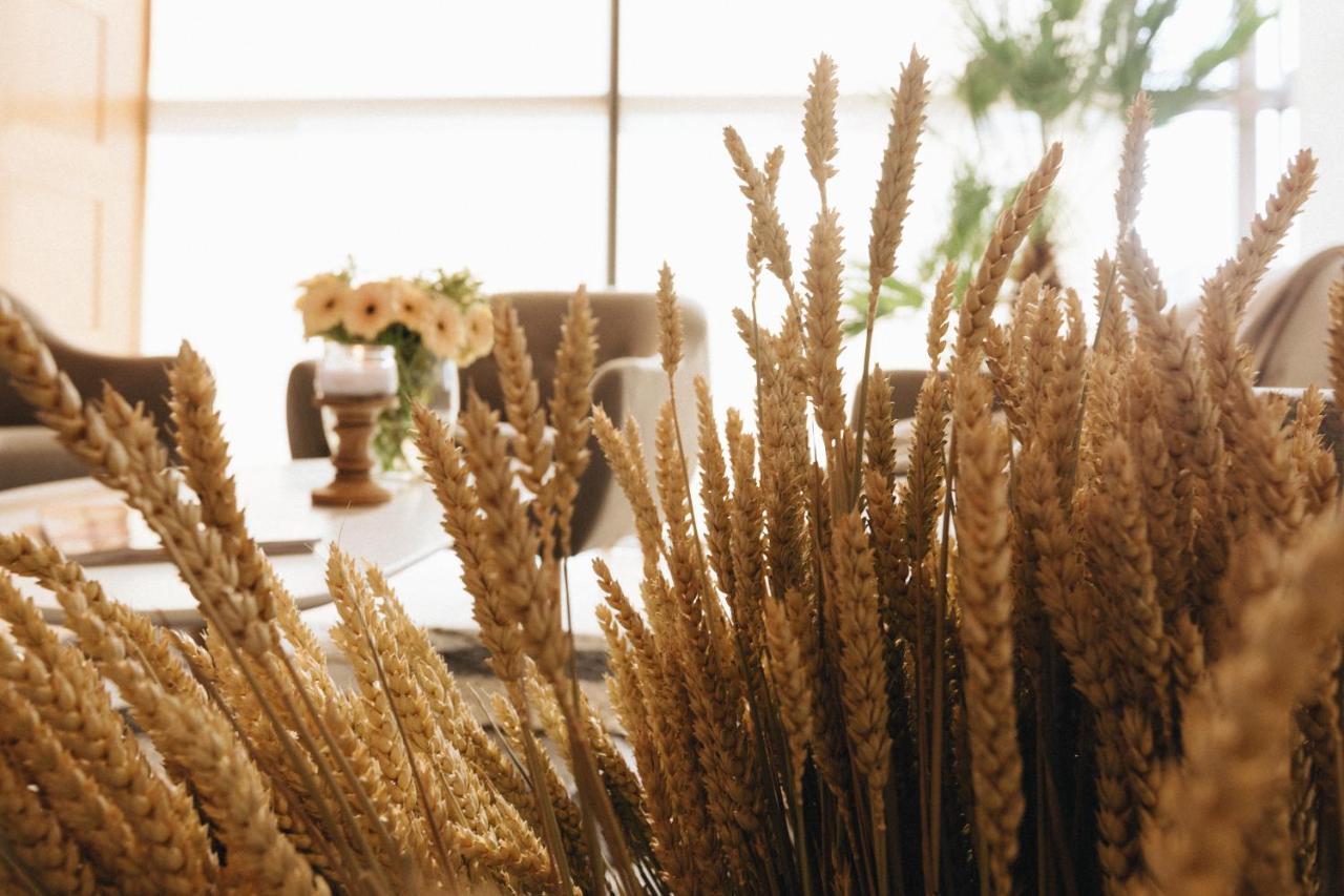 Country Spa Retreat Snagov Dış mekan fotoğraf Wheat